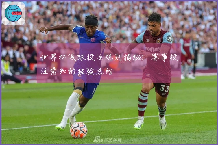 世界杯滚球投注规则揭秘：赛事投注需知的经验总结