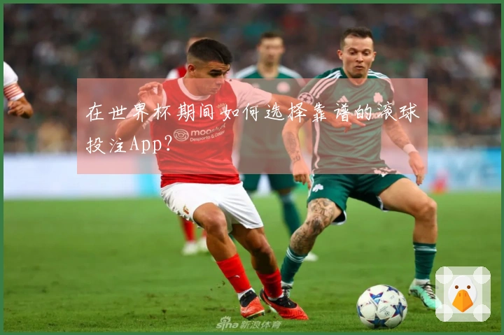 在世界杯期间如何选择靠谱的滚球投注App？