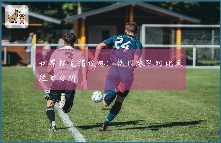 世界杯竞猜攻略：热门球队对比及胜率分析