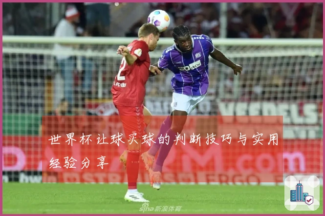 世界杯让球买球的判断技巧与实用经验分享