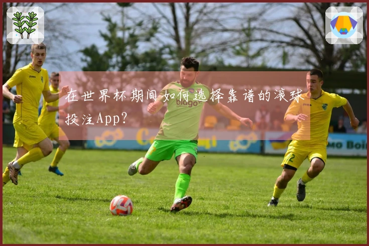 在世界杯期间如何选择靠谱的滚球投注App？