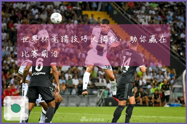 世界杯竞猜技巧大揭秘，助你赢在比赛前沿