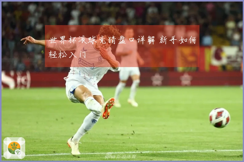 世界杯滚球竞猜盘口详解 新手如何轻松入门
