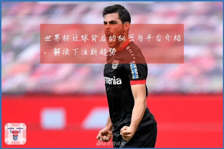 世界杯让球背后的秘密与平台介绍，解读下注新趋势