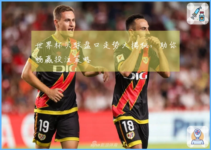 世界杯买球盘口走势大揭秘，助你畅赢投注策略